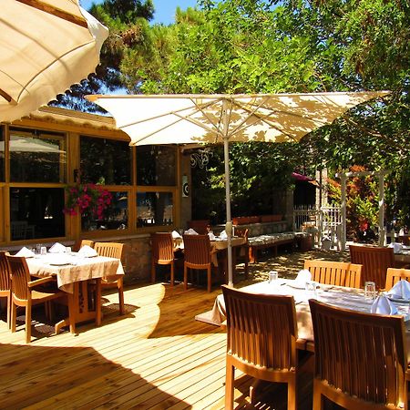 Assos Hunters Hotel (Adults Only) Kültér fotó